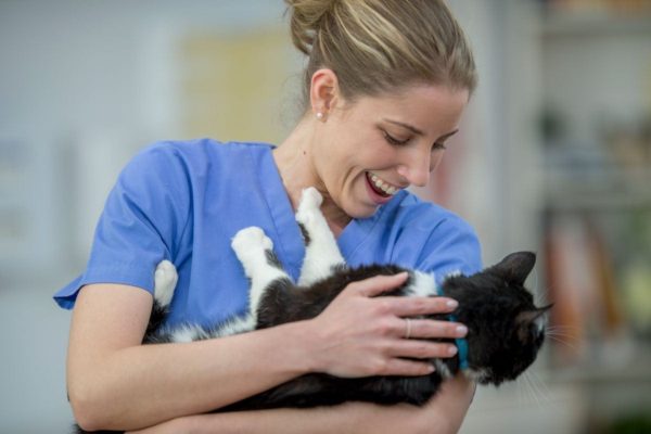 Attracting and hiring great talent for your veterinary practice