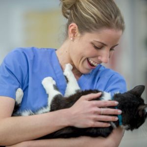 Attracting and hiring great talent for your veterinary practice